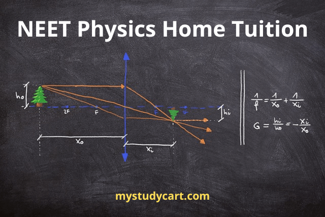 NEET Physics Home Tutors