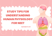 Understanding Human Physiology for NEET