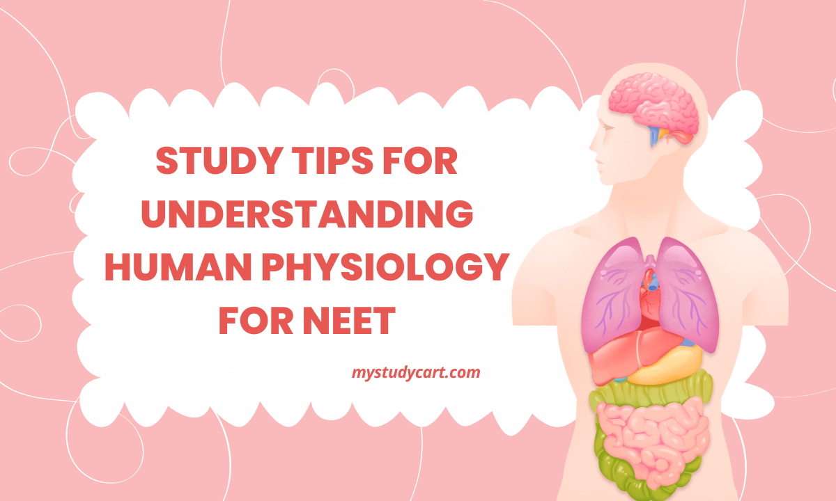 Understanding Human Physiology for NEET
