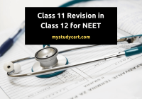 Class 11 revision for NEET