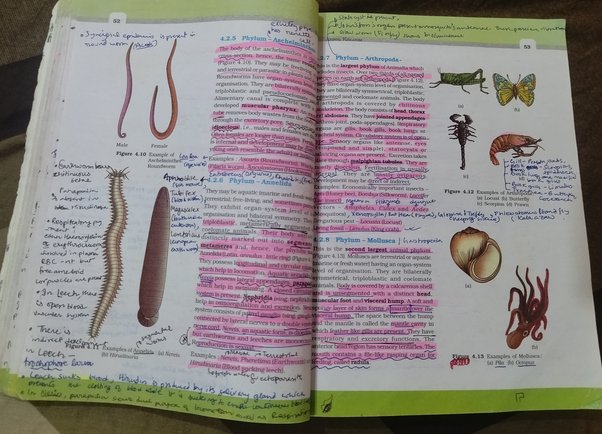 Hardest chapter NEET Zoology