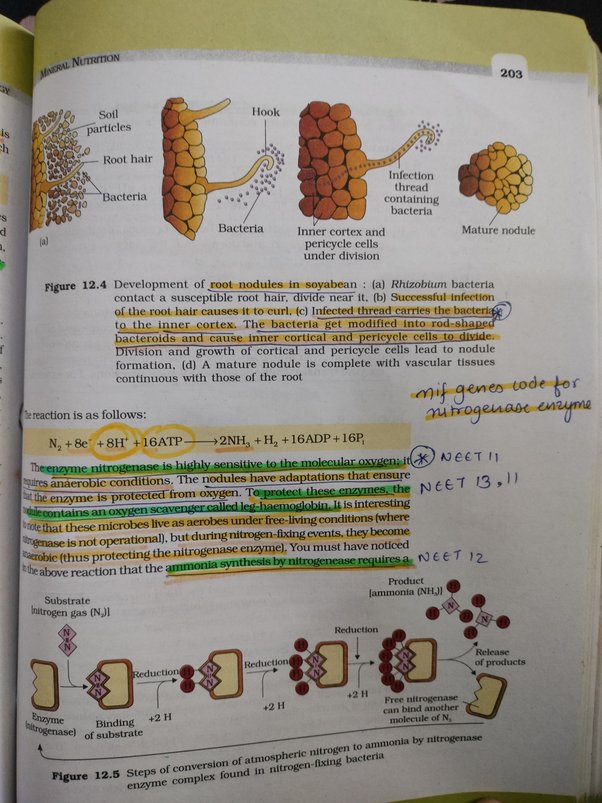 ncert biology 1