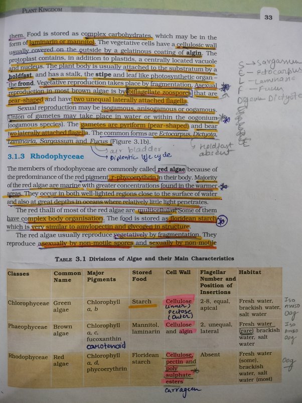 ncert biology 4