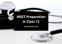 NEET preparation in class 12.