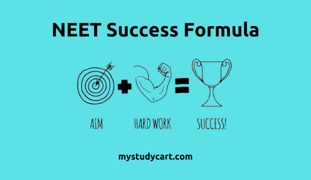 NEET success formula