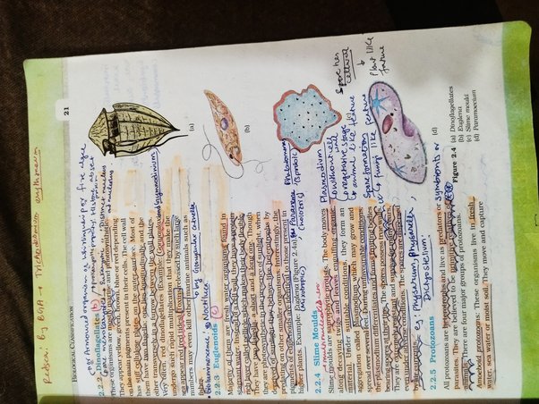 toughest-chapters-in-neet-physics-biology-chemistry